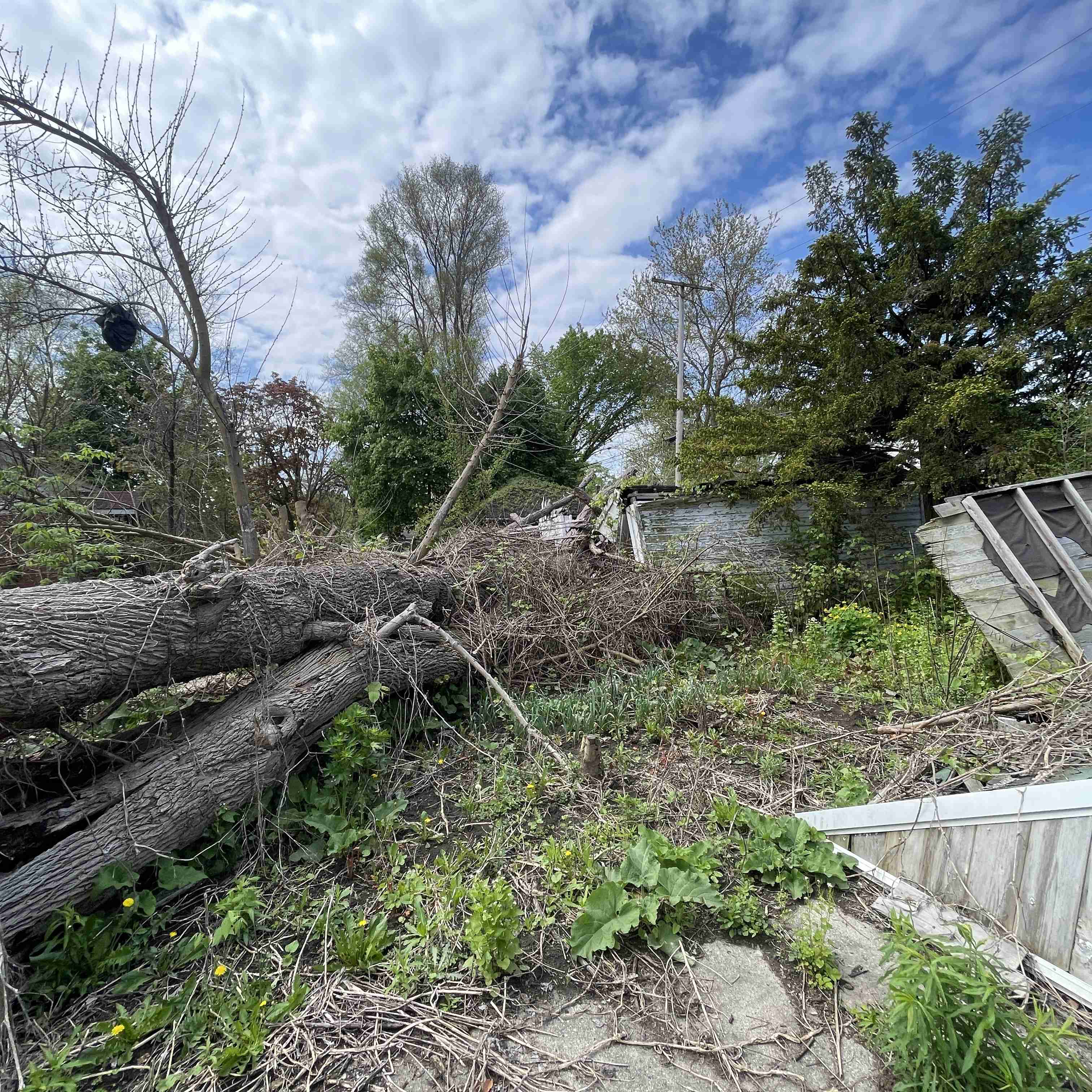 18653 Westphalia (21).jpg